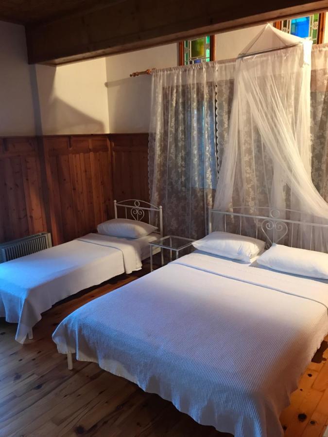 9Mouses Chasiotis Guest House Ampelakia Zewnętrze zdjęcie