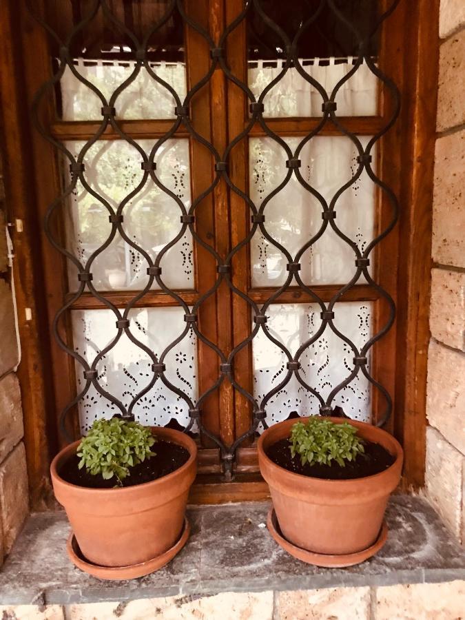 9Mouses Chasiotis Guest House Ampelakia Zewnętrze zdjęcie