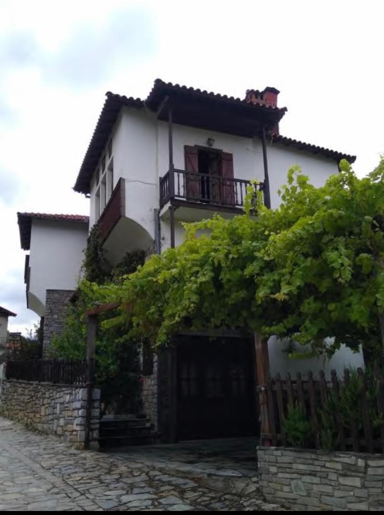 9Mouses Chasiotis Guest House Ampelakia Zewnętrze zdjęcie
