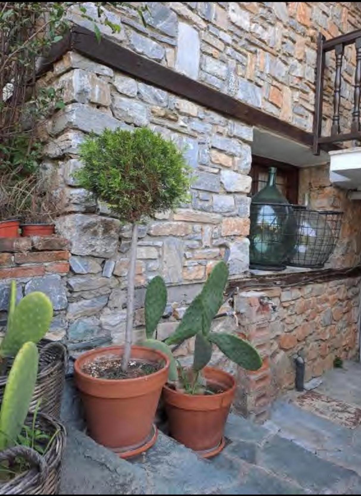 9Mouses Chasiotis Guest House Ampelakia Zewnętrze zdjęcie