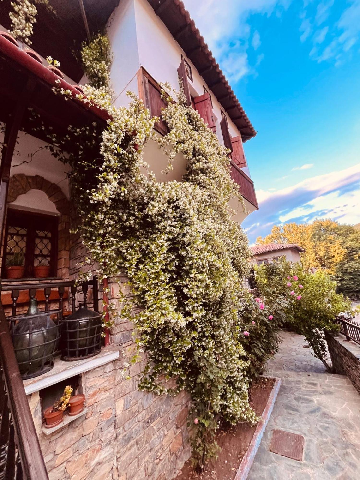 9Mouses Chasiotis Guest House Ampelakia Zewnętrze zdjęcie